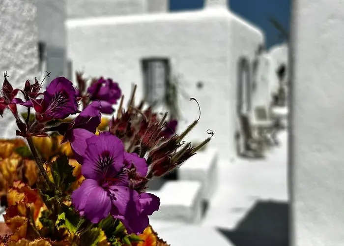 Pensionat Vougli View Mykonos Drafaki