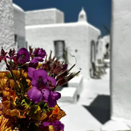 Guest house Vougli View Mykonos Drafaki