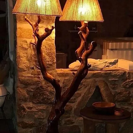 Vougli View Mykonos ゲストハウス 4*