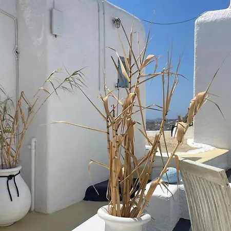 Πανσιόν Vougli View Mykonos